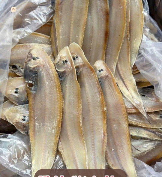 Khô Lưỡi Trâu Nhỏ – Khô Lưỡi Trâu Ngon, Thịt Ngọt Tự Nhiên, Đặc Sản Biển